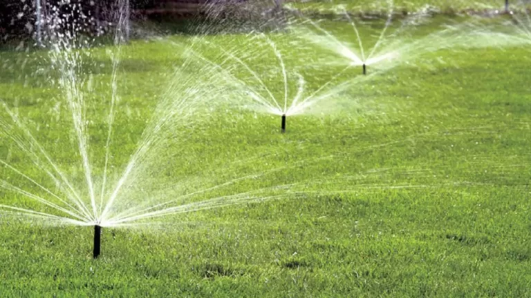 How Much Water Does a Sprinkler Use?