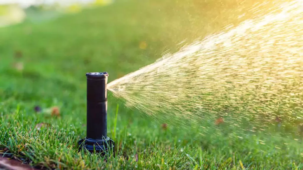 Best way to water lawn without a sprinkler system