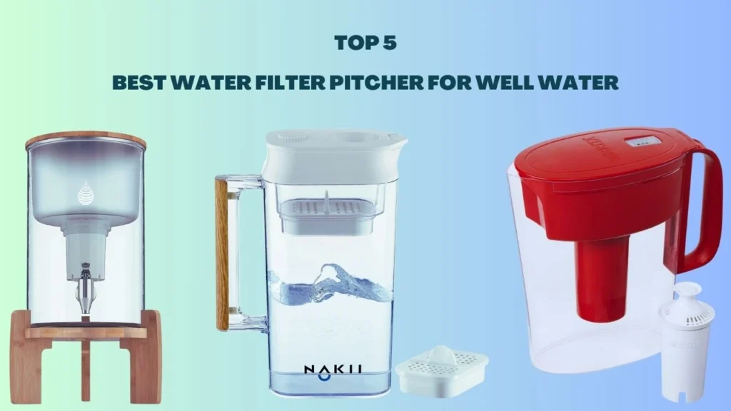 Best Water Filter Pitcher for Well Water