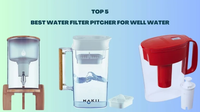 Best Water Filter Pitcher for Well Water